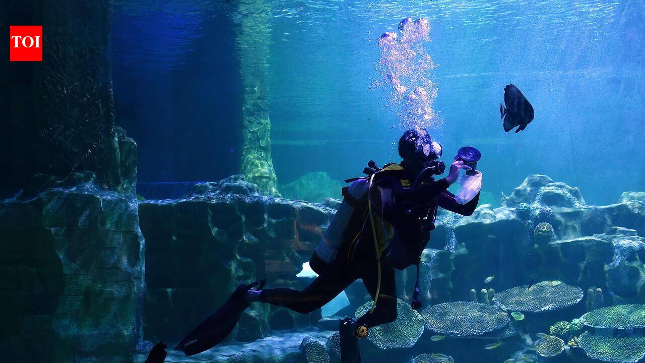 VGP’s failure to provide scuba dive footage costs it Rs 55,000
