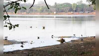 Water crisis deepens: Only 29 of 2,991 lakes filled, 281 dry