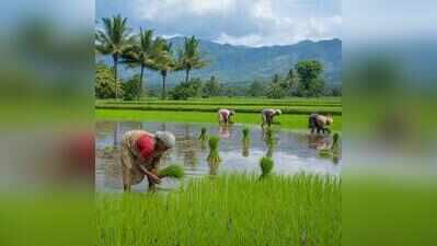Maharashtra govt approves compensation to those affected by Deharji Medium Irrigation Project