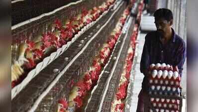 Consumers feel heat as chicken, egg prices climb across AP