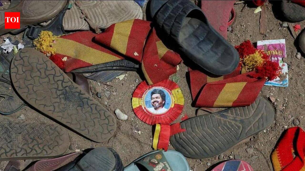Vijay to visit Karur on July 10, meet family of Sept 27 stampede victims: Anand