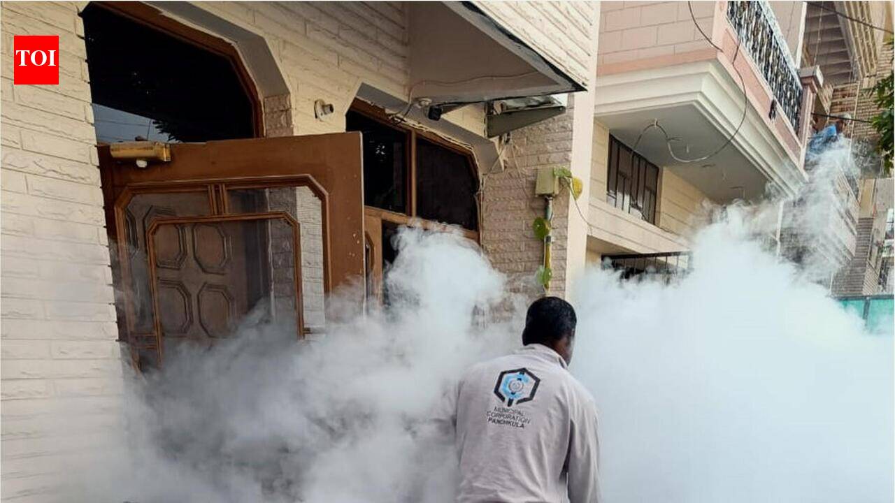 Panchkula steps up dengue fight, deploys 790 volunteers to destroy mosquito breeding sites