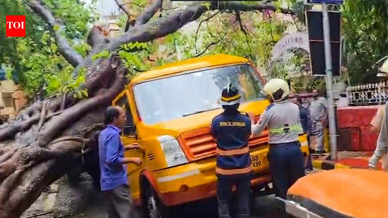 Chembur schoolboy death: BMC had issued tree safety notice to road contractor in March