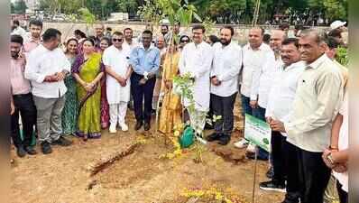 1 lakh trees to transform Chhani canal stretch