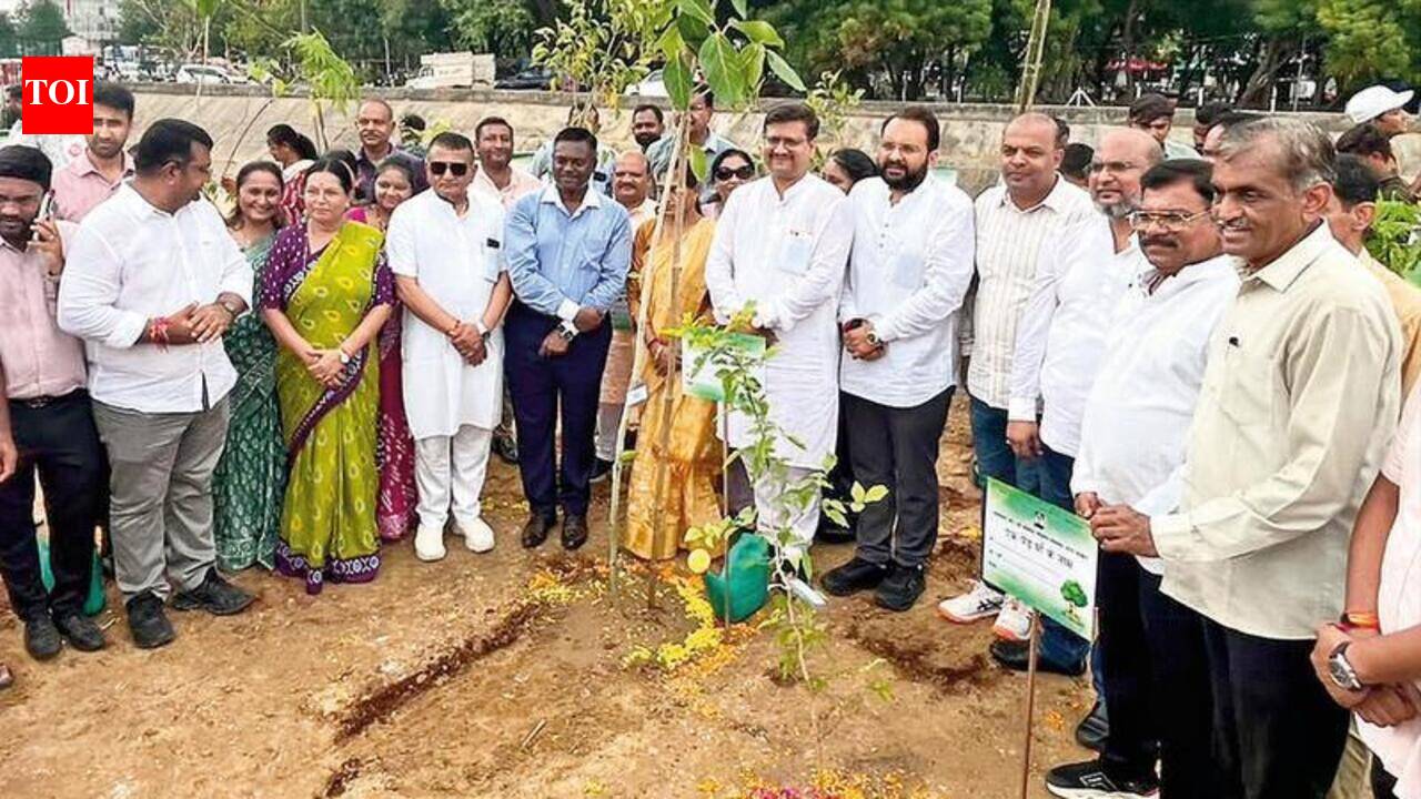 1 lakh trees to transform Chhani canal stretch