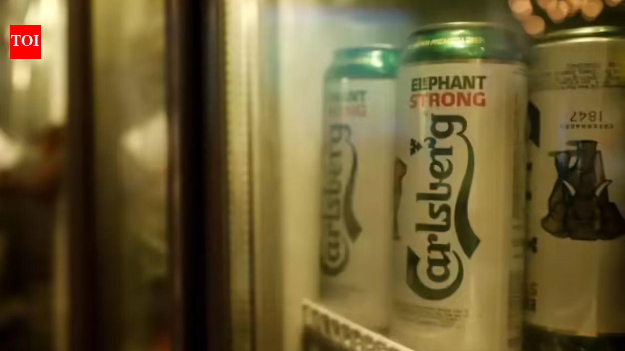 Carlsberg files IPO papers confidentially