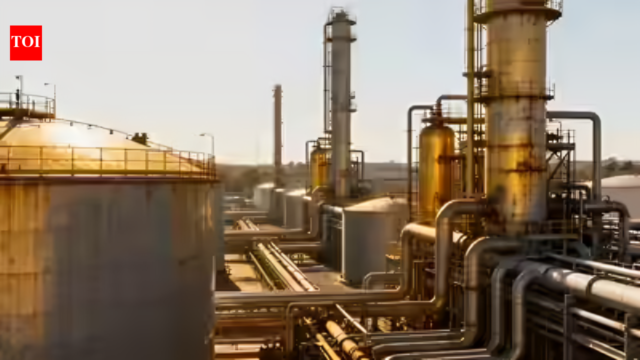 Fuel-hit Russia bought gasoline produced by India’s Nayara Energy via traders: Report