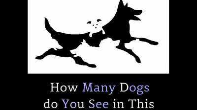 Optical illusion challenge: Can you count all the hidden dogs? only sharp-eyed observers get it right