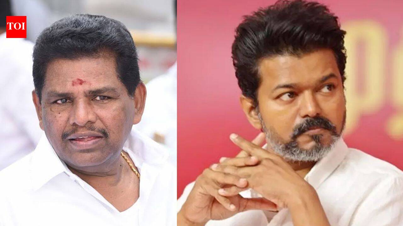DMK MLA and ex-Tamil Nadu minister Anitha Radhakrishnan arrested over 'defamatory' remarks against TN CM Vijay