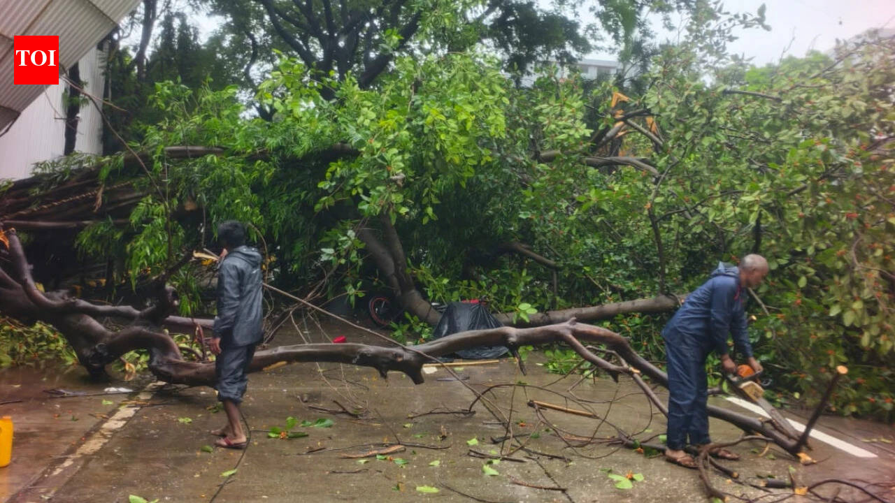 Ex-deputy mayor's son dies after coconut tree falls on bike near Mumbai