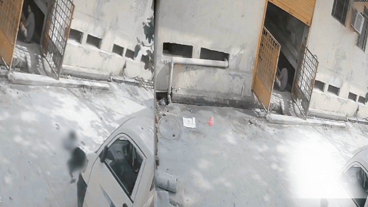 Teen dies after falling from first floor while feeding monkeys