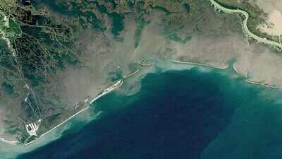 Louisiana's coastal marshes may lose their highest plant communities within 50 years, because flooding and salt are reshaping the shoreline from the ground up
