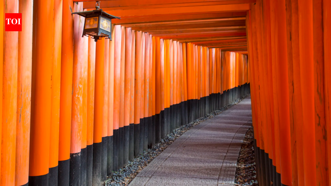 Why does this street in Japan look like an endless tunnel of red gates: The fascinating story behind thousands of vermilion ‘torii’