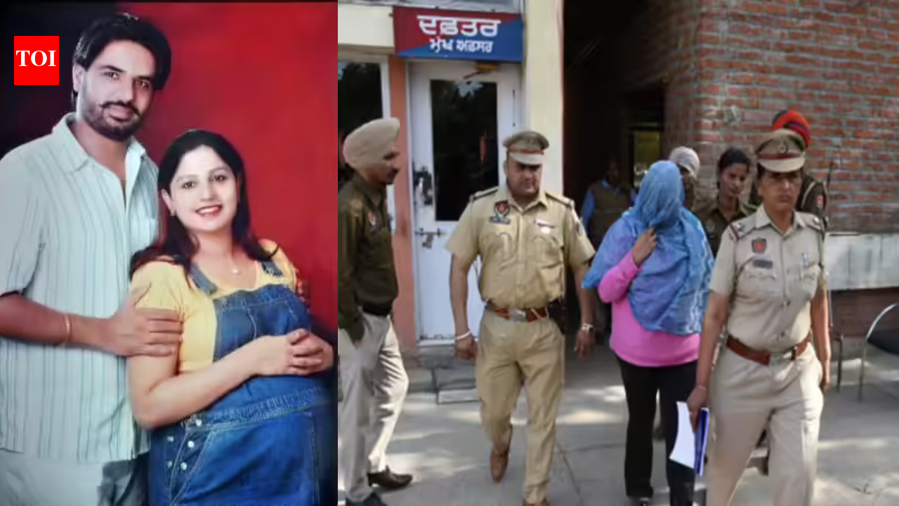 8-year trial in high-profile Mohali murder case ends with conviction under murder, court imposes Rs 90,000 fine