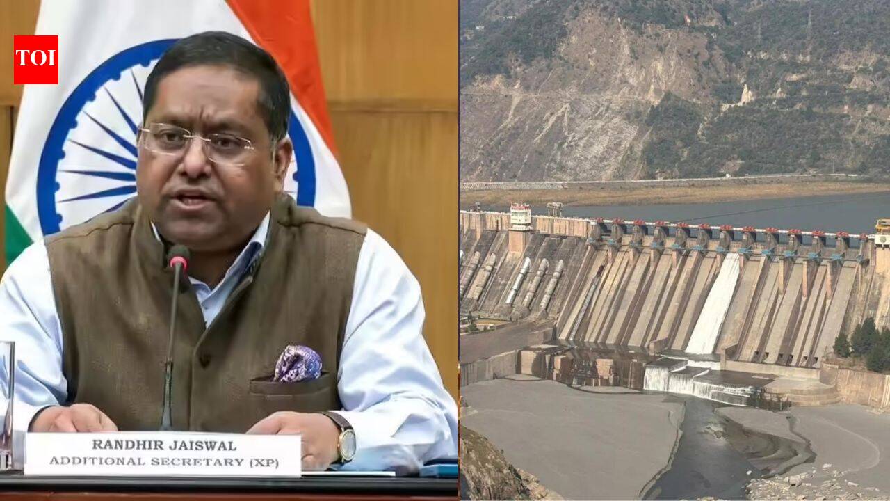 'Pak must stop backing terror': India on why Indus Waters Treaty still 'in abeyance'