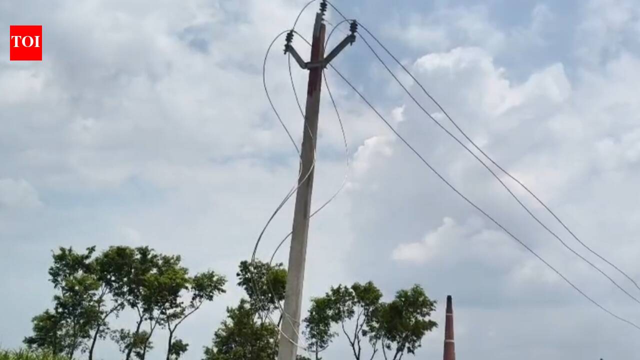 Power line theft hits paddy transplantation in West Champaran