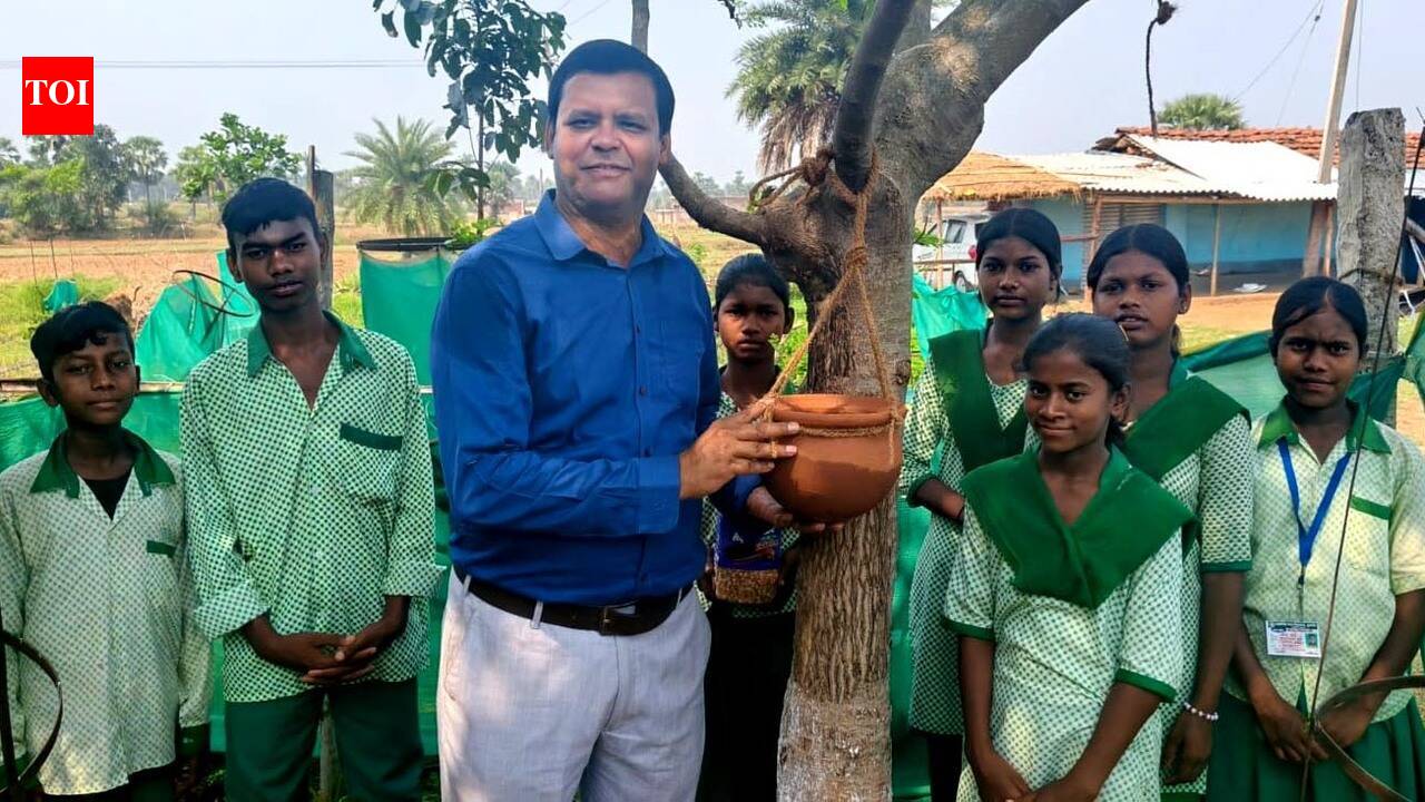 Dumka school empowers students to protect birds with ‘dana-paani’ initiative