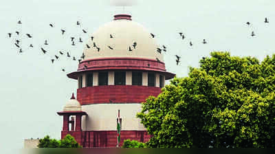 DMK to move SC against Aadhav Arjunaa over Karur remarks