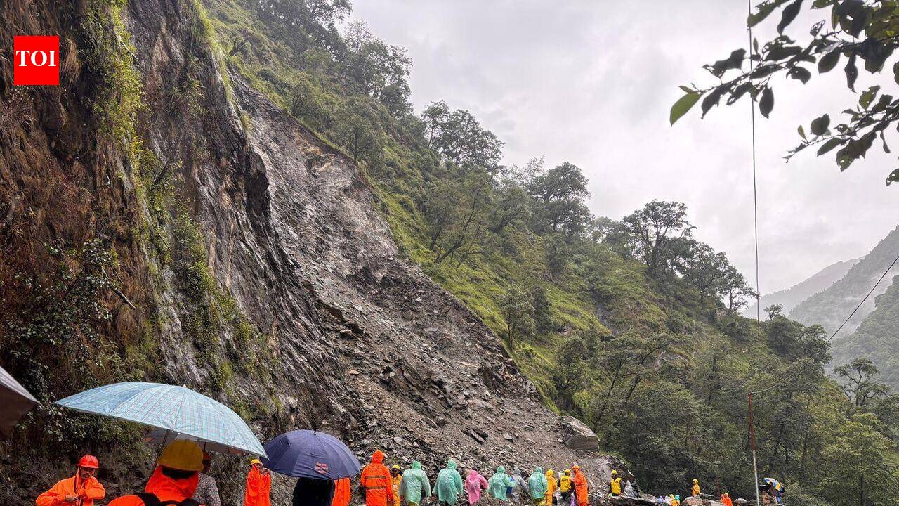 44 roads closed across U’khand; landslides disrupt Badrinath highway traffic