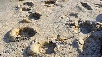 Mongolia's 120-million-year-old giant footprints reveal a forgotten dinosaur world