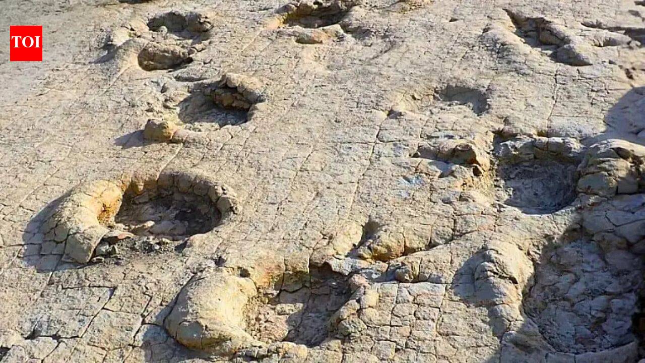 Mongolia's 120-million-year-old giant footprints reveal a forgotten dinosaur world