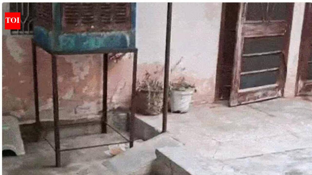 Decomposed bodies of elderly man, daughter recovered from Jaipur home