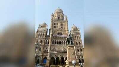 BMC to pilot AI-based ‘Vaidya AI’ platform in hospitals, dispensaries