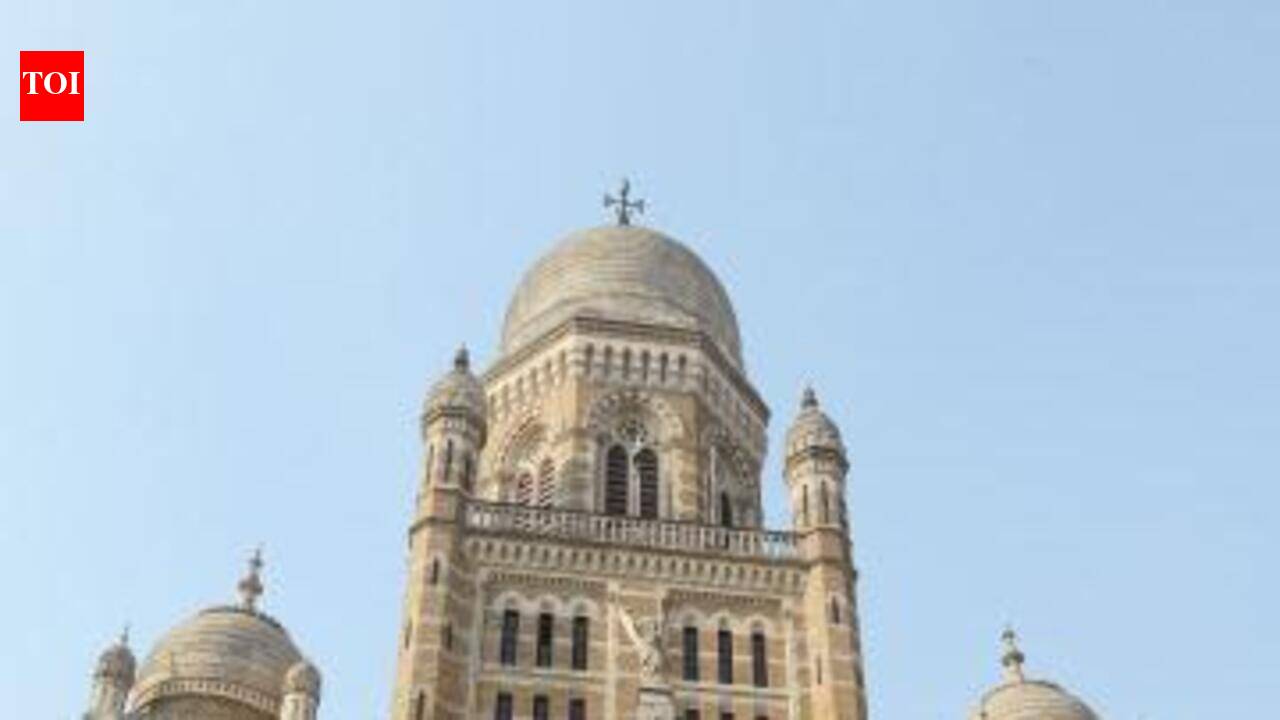 BMC to pilot AI-based ‘Vaidya AI’ platform in hospitals, dispensaries