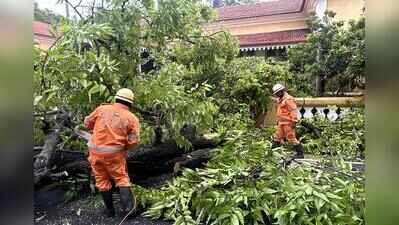 Monsoon weakens over goa, heavy rain likely to continue