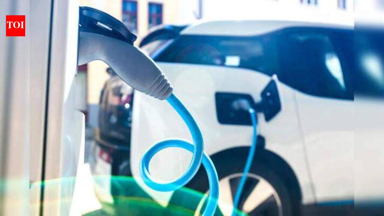 Chargers are ready, buyes aren’t: T’s EV network ranks among India’s best, adoption lags