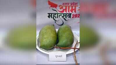 Aroma of 800 mango varieties greets visitors at fest