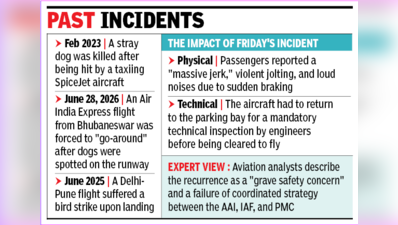 Jaipur-bound Air India Express flight aborts take-off at high speed after dog spotted on runway
