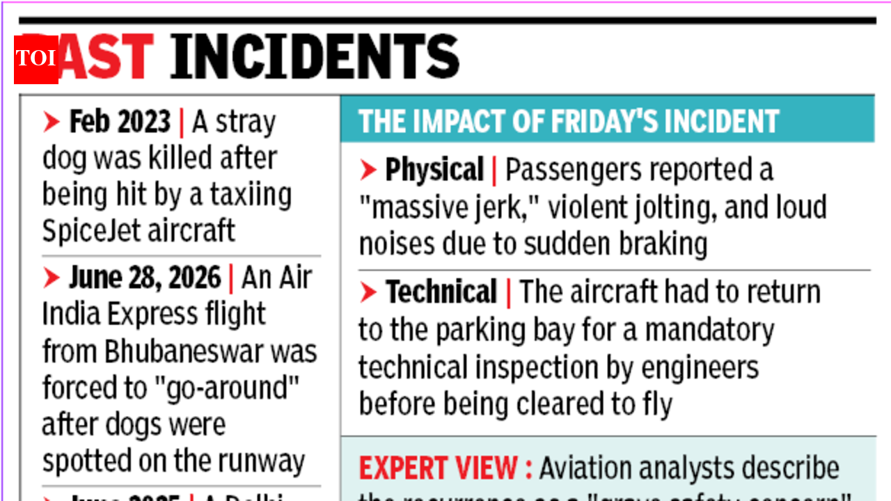 Jaipur-bound Air India Express flight aborts take-off at high speed after dog spotted on runway