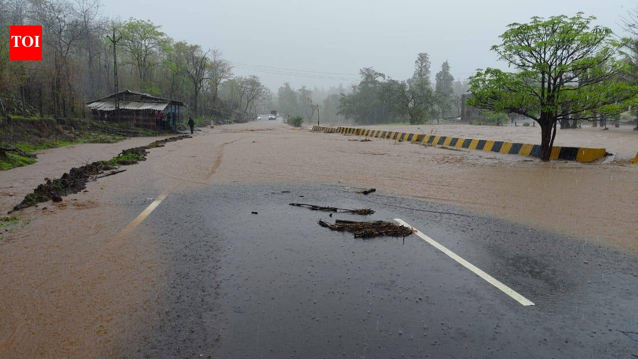 Concentrated rain in short period impacts south Gujarat