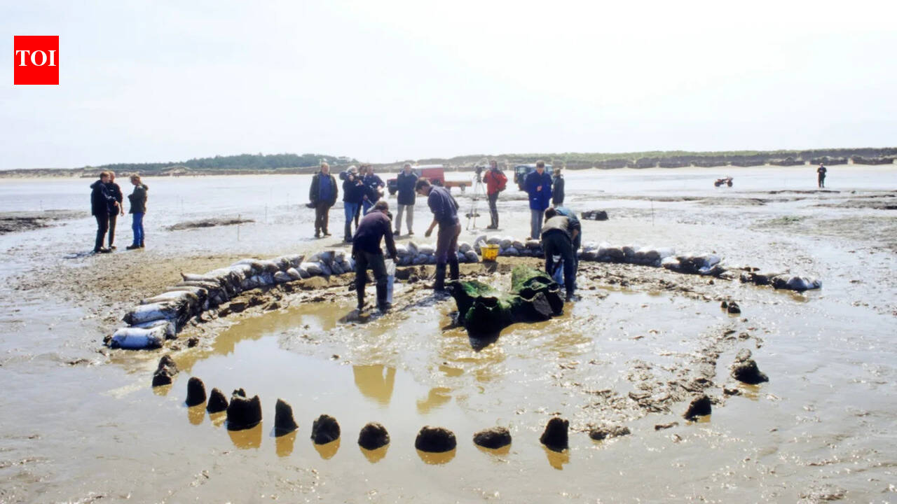 This 4,000-year-old wooden monument in England may have been built to ‘extend summer’