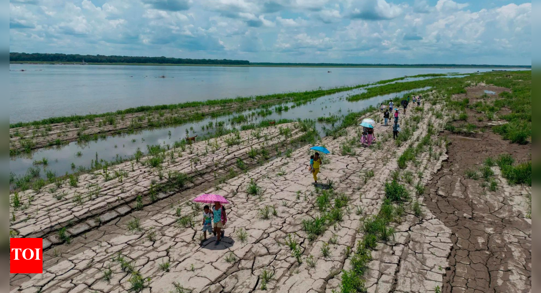 WMO warns of rapid El Nino development during July-September