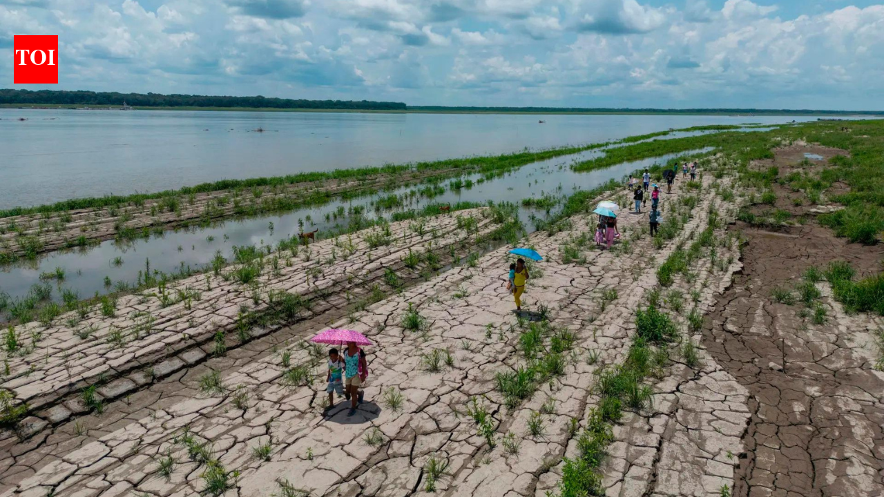 WMO warns of rapid El Nino development during July-September