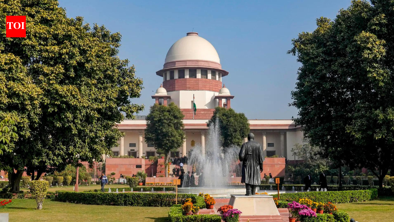 Spouse accused of adultery can't invoke right to privacy, says SC