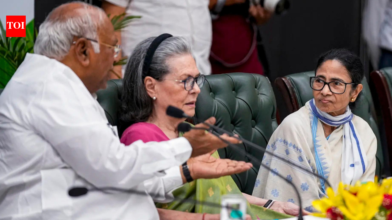 Govt fixing polls with EC's help: INDIA bloc to CJI