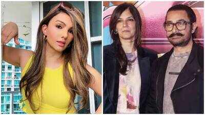 Salman Khan's ex Somy Ali congratulates Aamir Khan and Gauri Spratt ahead of July 5 wedding: 'Love doesn't follow a calendar'