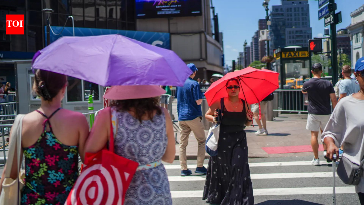 'France, Belgium &amp; The Netherlands saw 3,700 excess deaths in heatwave'