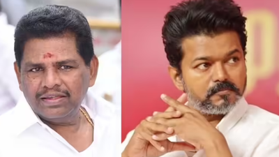 Anitha R Radhakrishnan arrested over 'defamatory' remarks on Tamil Nadu CM Vijay's personal life, granted bail