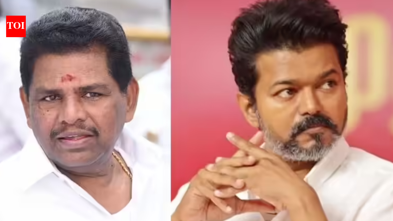 DMK leader R Radhakrishnan arrested over remarks on TN CM Vijay, granted bail
