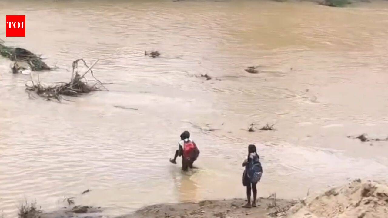 Damaged culvert forces children to cross swollen stream in Chhattisgarh; watch