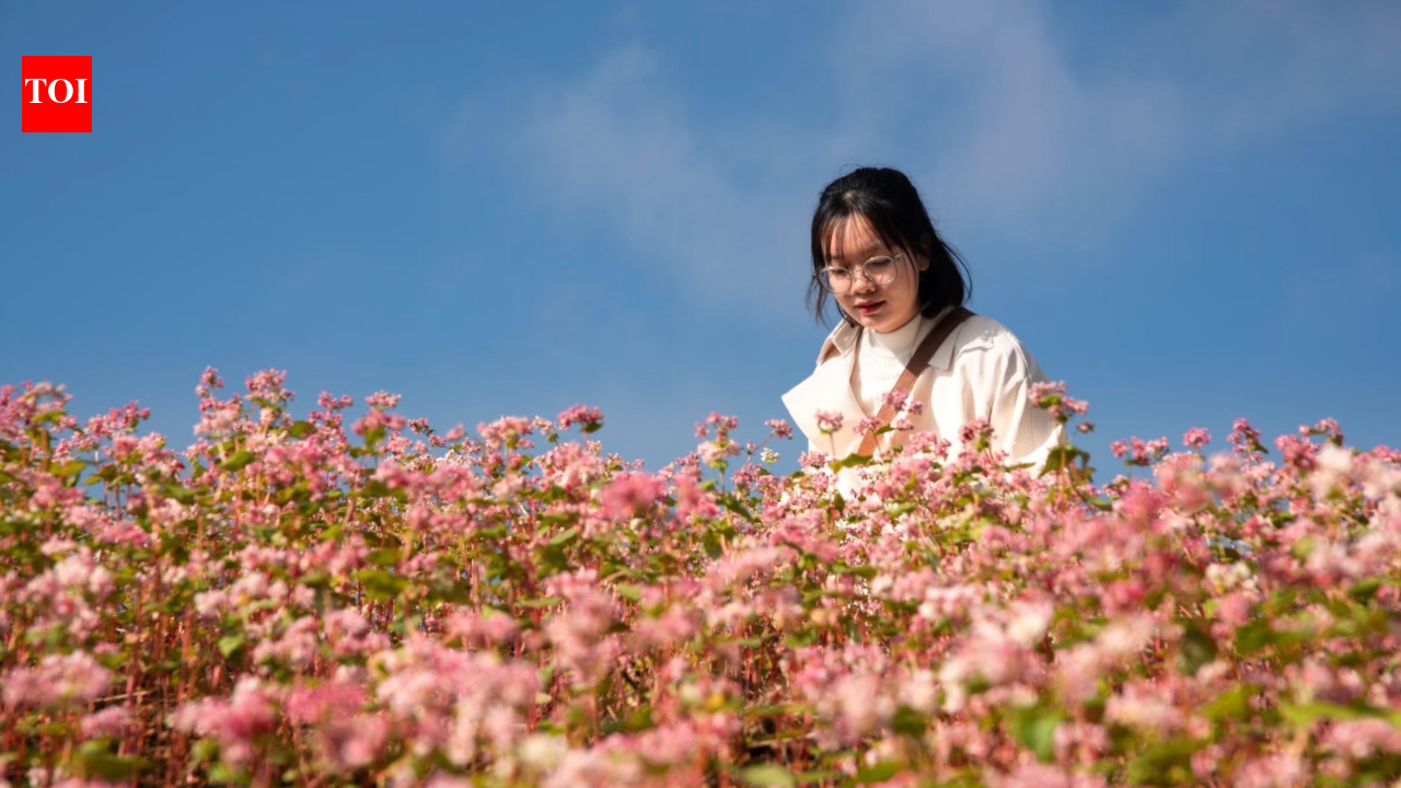 Psychology says people who notice small beautiful moments aren’t naive: Research suggests brief experiences of awe can make everyday life feel wider and less dominated by stress