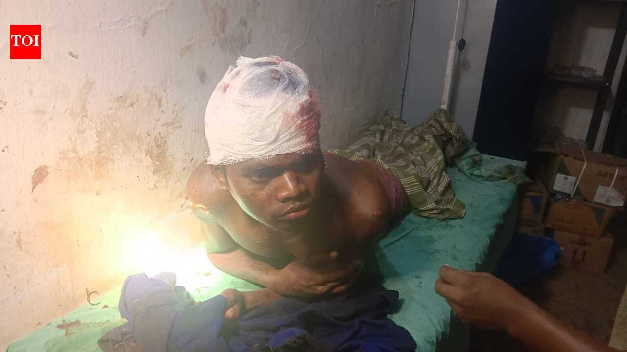 Man mauled by bears in Palamu Tiger Reserve