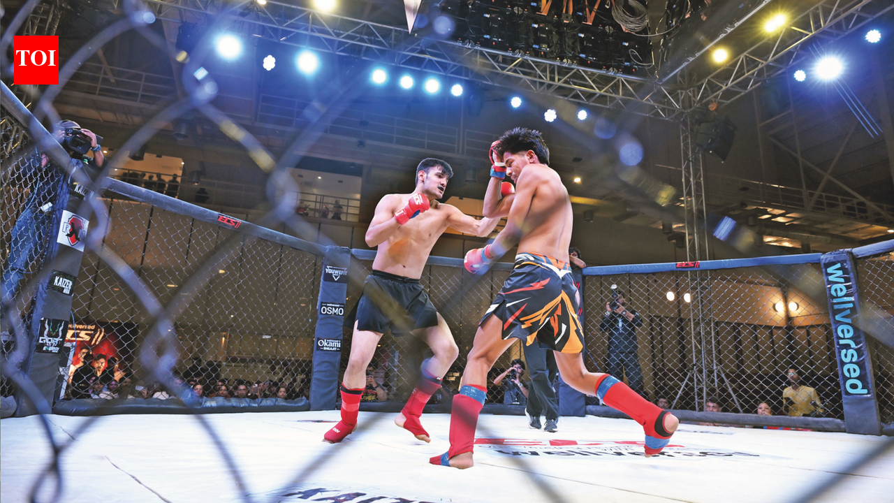 MMA fever grips the city