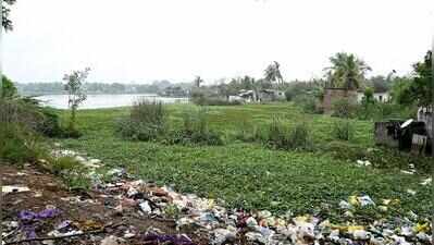 Rajakilpakkam lake shrinks to a trickle