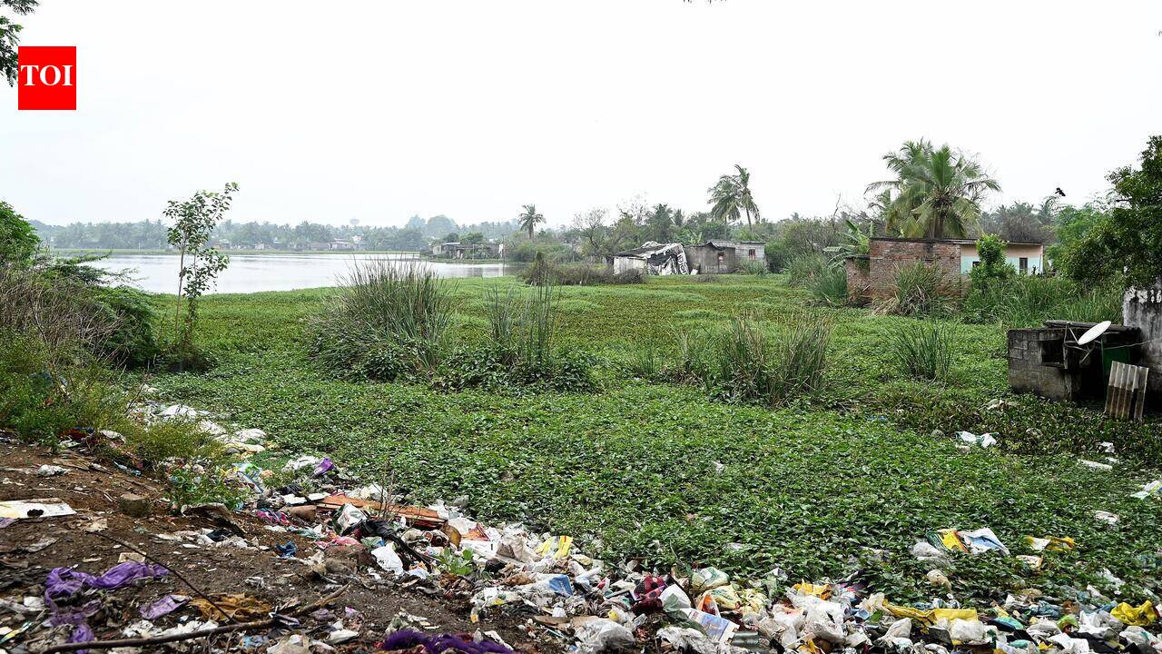 Rajakilpakkam lake shrinks to a trickle