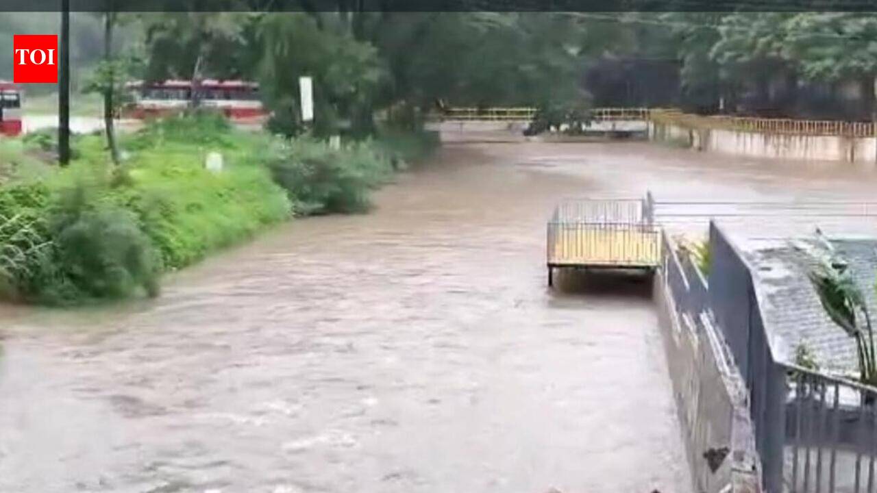 Kodagu district records 47.38 mm rain in 24 hours